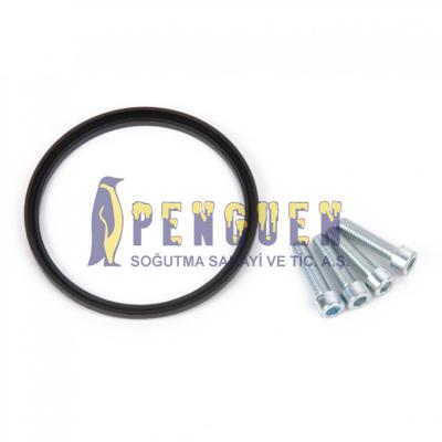 Kombi Grundfos-Wilo Çevrim Kiti